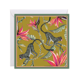 Zambezi Gift Card Box Set - THE WILD SHOWCASE