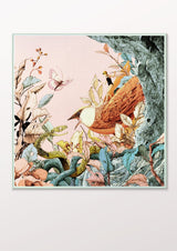 A Summer Study of Curiosity 55 - THE WILD SHOWCASE