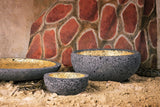 Amon-Ra Bowls - THE WILD SHOWCASE
