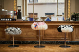 BAR STOOL PANDA - THE WILD SHOWCASE