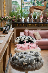 BAR STOOL PANDA - THE WILD SHOWCASE