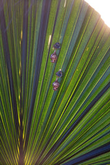 BLUE POMEGRANATE TOPAZ EARRING - THE WILD SHOWCASE