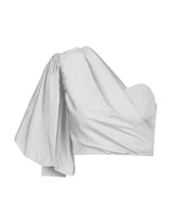 BROWN CROPPED - THE WILD SHOWCASE