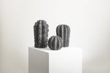 CACTUS STONE SET - THE WILD SHOWCASE