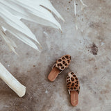 Carrie Brown Leopard - THE WILD SHOWCASE