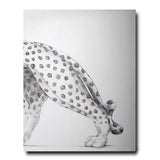 CARTIER PANTHÈRE - The Wild Showcase