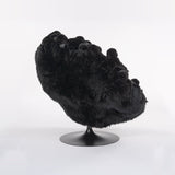 GARE AU GORILLE! - The Wild Showcase