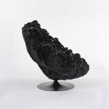 GARE AU GORILLE! - The Wild Showcase