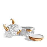 Haas Lynda Box + Plates (Set of 4) - THE WILD SHOWCASE