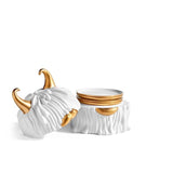 Haas Lynda Box + Plates (Set of 4) - THE WILD SHOWCASE