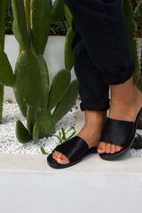 Harley - THE WILD SHOWCASE