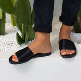 Harley - THE WILD SHOWCASE