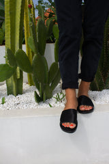 Harley - THE WILD SHOWCASE