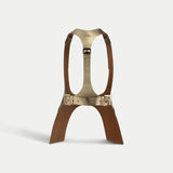 Harness Gold - THE WILD SHOWCASE