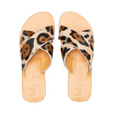 Holly - THE WILD SHOWCASE