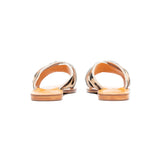 Holly - THE WILD SHOWCASE