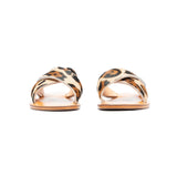 Holly - THE WILD SHOWCASE