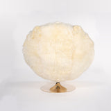 ICEBERG - The Wild Showcase