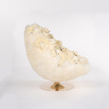 ICEBERG - The Wild Showcase