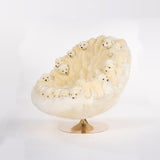 ICEBERG - The Wild Showcase