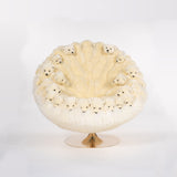 ICEBERG - The Wild Showcase