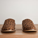 Wylde - THE WILD SHOWCASE