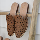 Wylde - THE WILD SHOWCASE