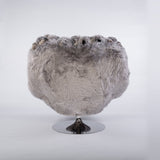 KOALA 2020 - The Wild Showcase