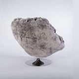 KOALA 2020 - The Wild Showcase