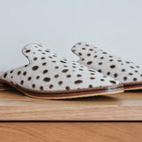 Lennox - THE WILD SHOWCASE