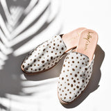 Lennox - THE WILD SHOWCASE