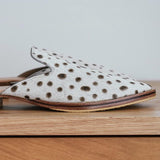 Lennox - THE WILD SHOWCASE