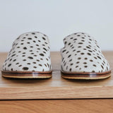 Lennox - THE WILD SHOWCASE