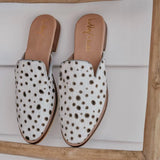 Lennox - THE WILD SHOWCASE