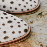 Lennox - THE WILD SHOWCASE