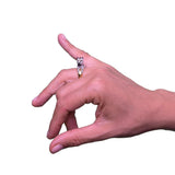 Marta Zebra - The Wild Showcase