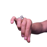 Marta Zebra - The Wild Showcase