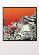 Moon Phase IV - THE WILD SHOWCASE