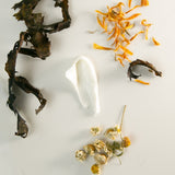 Recovery Cream - THE WILD SHOWCASE