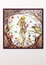 Reincarnation - THE WILD SHOWCASE