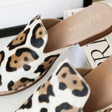 Samantha Light Leopard - THE WILD SHOWCASE