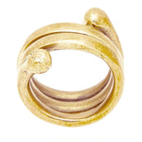 Sani Ring - The Wild Showcase