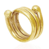 Sani Ring - The Wild Showcase