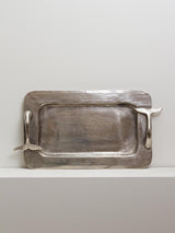 Silver tray fish tales - THE WILD SHOWCASE