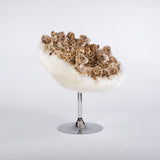 SMALL GLOVE TINY LEO - The Wild Showcase