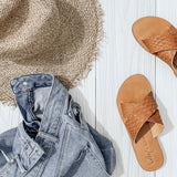 Terra - THE WILD SHOWCASE