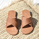 Terra - THE WILD SHOWCASE