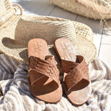 Terra - THE WILD SHOWCASE