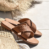 Terra - THE WILD SHOWCASE