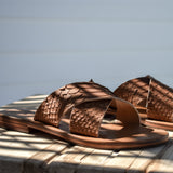 Terra - THE WILD SHOWCASE